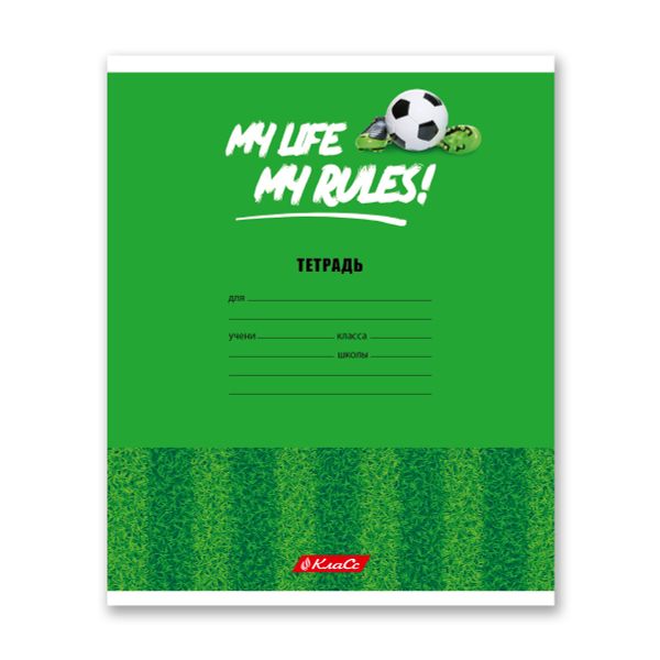 Тетрадь ученическая школьная A5+ 24 л. на скобе, белизна 100% 30 шт, клетка, 000372 Мячики, Светоч 24ТСКд5_1_3_1