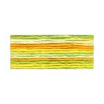 Мулине Anchor мультиколор, цв.1304, 12 мотков по 8 метров