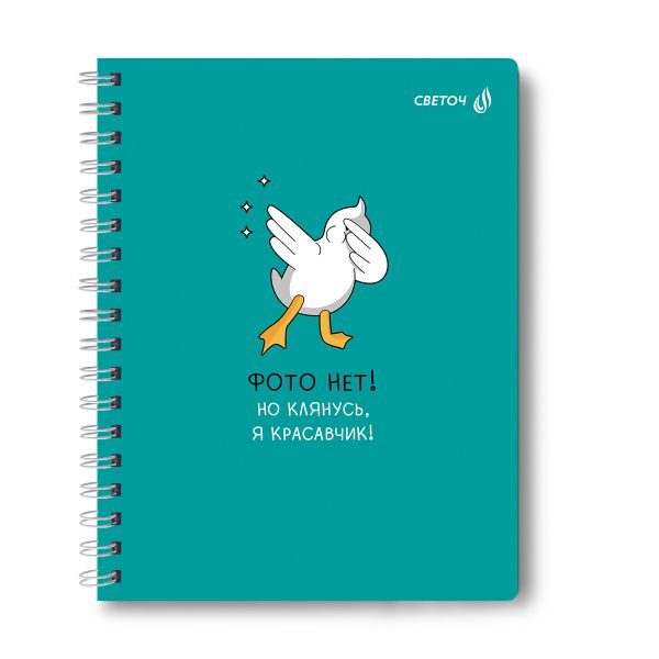 Тетрадь ученическая общая, A5 48 л. на гребне 65 г/м², белизна 100 %, 8 шт, клетка, 01171 МИКС - Мечты сбываются, Светоч Т107