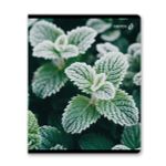 Тетрадь ученическая общая, глянцевая ламинация A5 48 л. на скобе 65 г/м², белизна 100% 10 шт клетка, 01503 Морозная свежесть, Светоч Т71