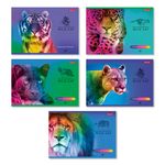 Альбом для рисования 100 г/м², A4 29х20.5 см, 48 л. на скобе, 5 шт, 000268 Большие кошки, Светоч 48АЛСК4_1_3_9