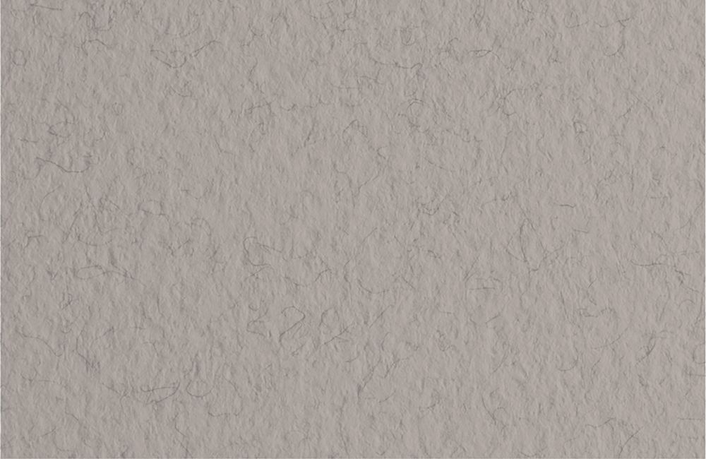 Бумага для пастели Tiziano 160 г/м², A3 29.7х42 см, 25 л, China/Серый теплый, Fabriano, 72942128