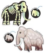 Набор для творчества Клевер, Люмипарк. Мамонт (декорирование), АС 38-413