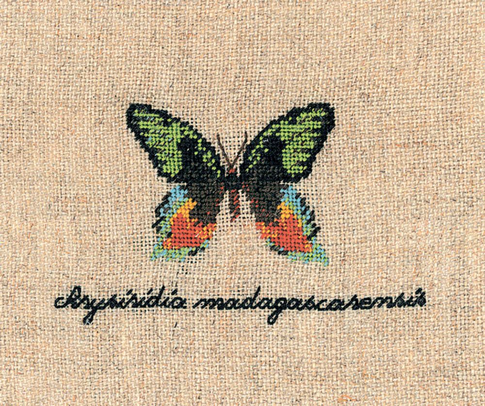 Le Bonheur des Dames, Papillon: Chrysiridia (Бабочка Chrysiridia), 4,5х6,5 см