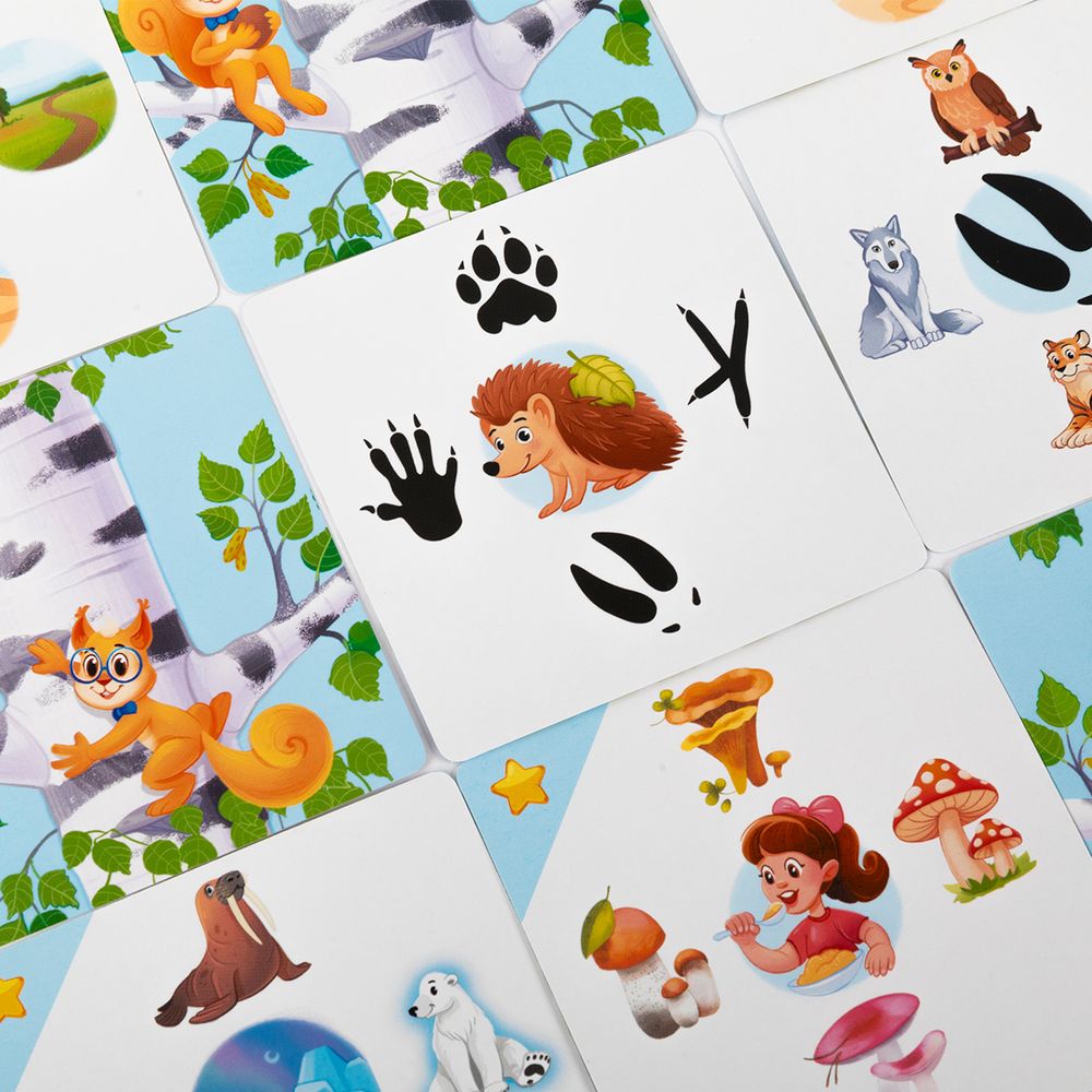 Игра настольная Эврикус Дерево знаний: Природа России BG-17106