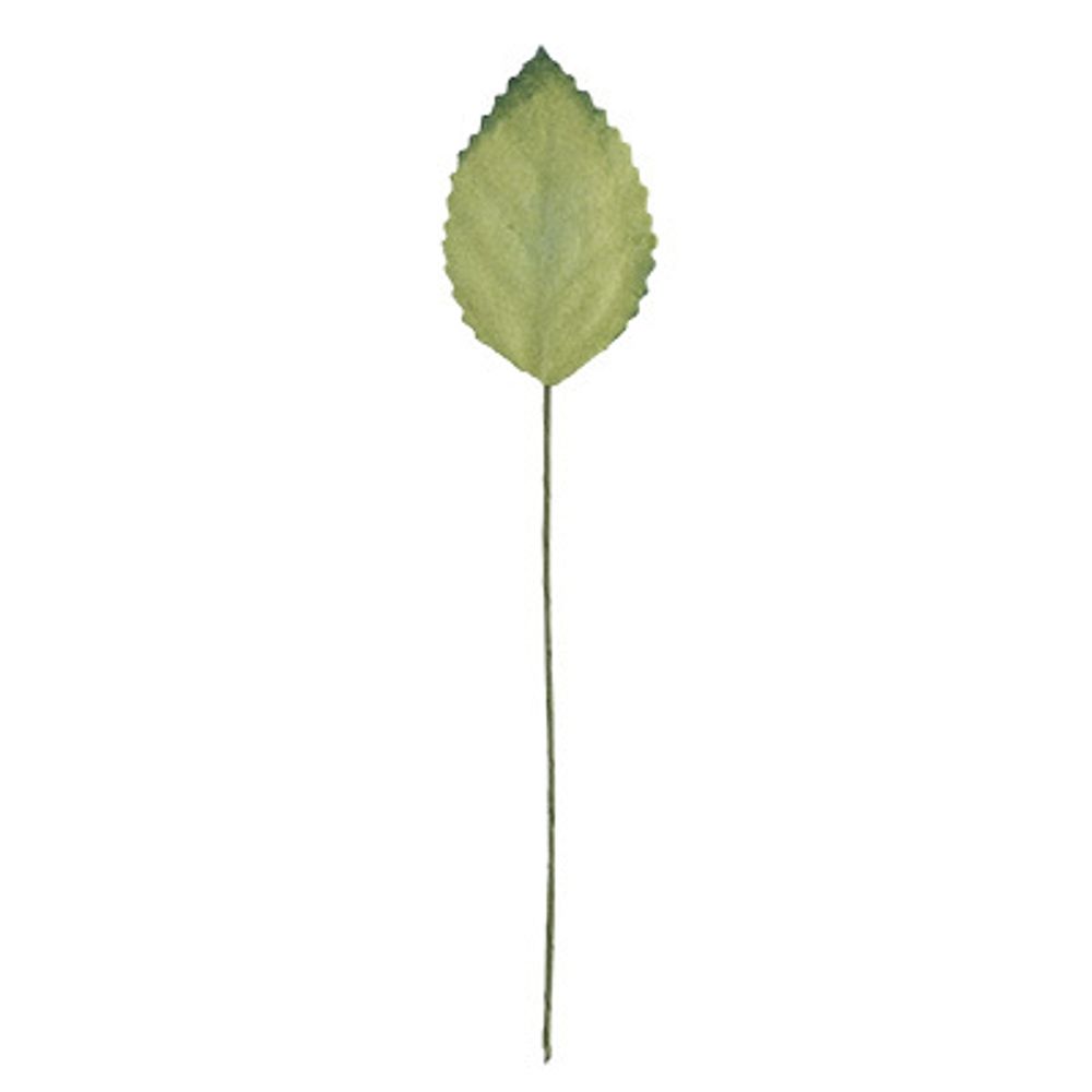 Листья декоративные 6х12 шт, 04 т.зеленый, Mr.Painter PFL-02