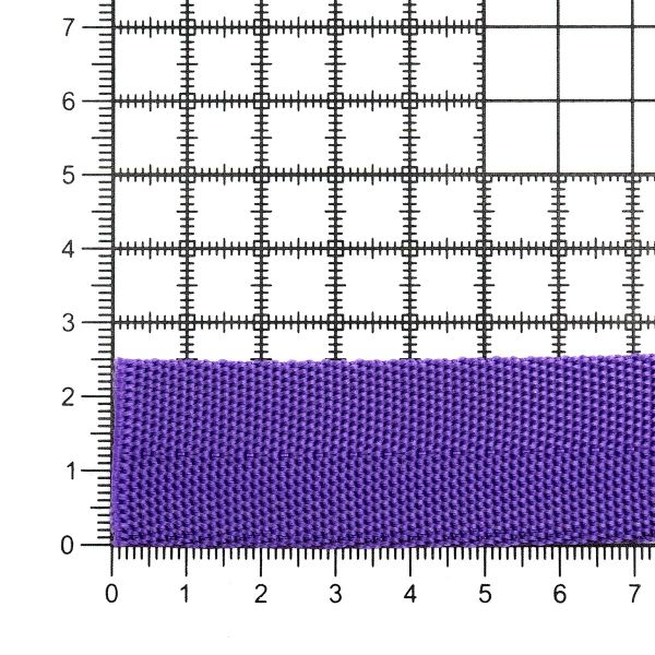 Стропа (ременная лента) 25 мм / 5х2.5 метра, толщ. 1.0 мм, [15.1 г/пог.м], 100% п/п, 19 фиолетовый