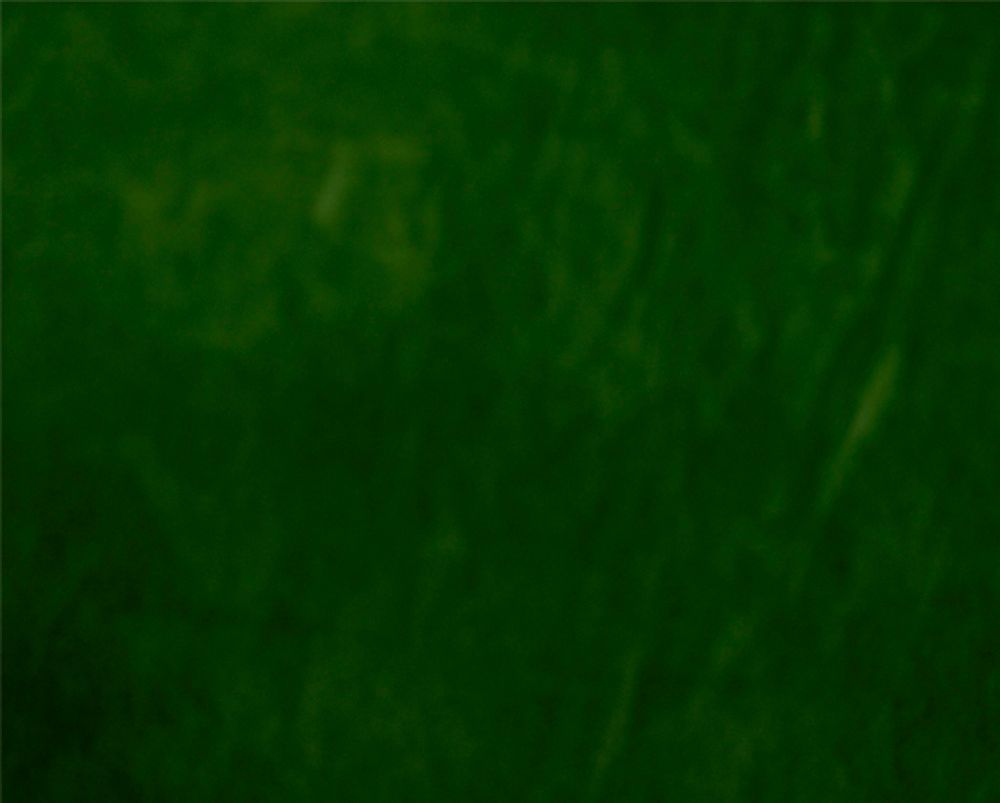 Замша искусственная двухсторонняя, 23738 20х30 см, зеленый, уп. 2листа