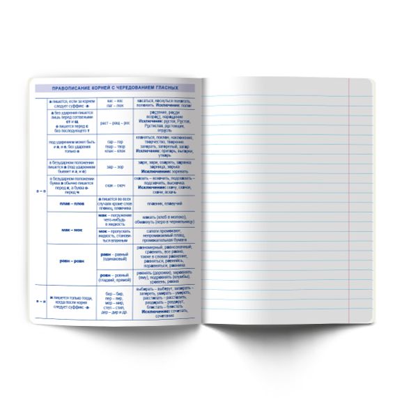 Тетрадь со справ.материал. Яркость по расписанию с запечат. пластик.обл. 320мкм, A5 48 л. на скобе 65 г/м², белизна 100% 10 шт, линия, 01870 Яркость по расписанию Русский язык, Светоч Т289