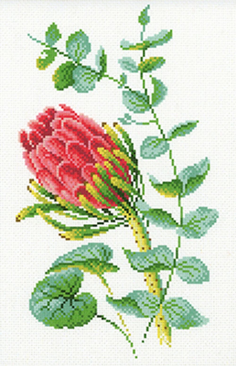 Набор для вышивания нитками МП Студия, Протея, 30х40 см