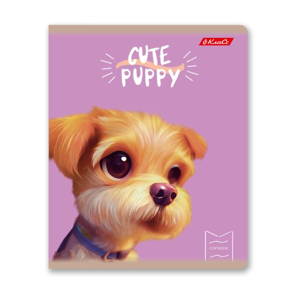 Тетрадь ученическая общая, глянцевая ламинация, A5+ 48 л. на скобе 65 г/м², белизна 100%, 10 шт, клетка в термоусадочной пленке, 000735 Мордашки, Светоч 48ТЕТк-004