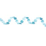 Лента фигурная Цветочки, 18.0 мм / 25 м (03 синий/белый), YH114