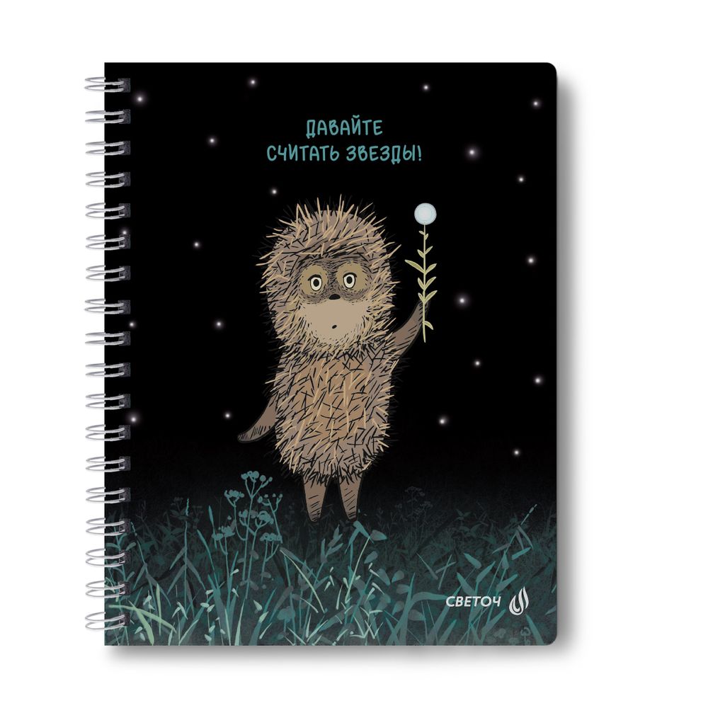 Тетрадь ученическая общая, выборочный УФ лак, (лицензия) A5 48 л. на гребне 65 г/м², белизна 100 %, 8 шт, клетка, 01173 Не такой уж колючий (Ёжик в тумане), Светоч Т105