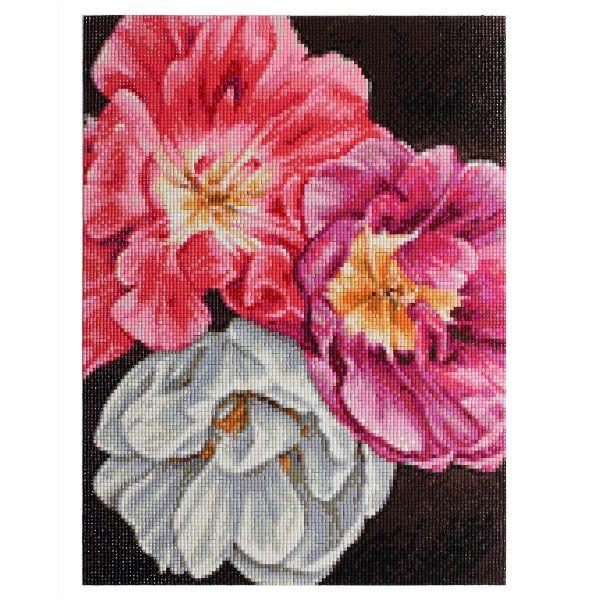 Алмазная (кристальная) мозаика Cristyle Cr 340029, Тюльпаны, 30х40см