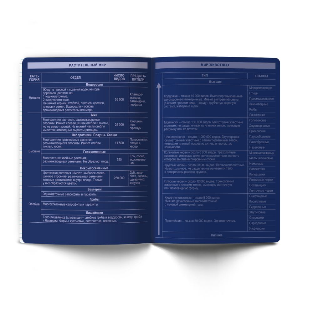 Тетрадь со справочным материалом Золотые главы, тисн.золот.фольгой, A5 48 л. на скобе 65 г/м², белизна 100% 10 шт клетка, 01849 Золотые главы Биология, Светоч Т286