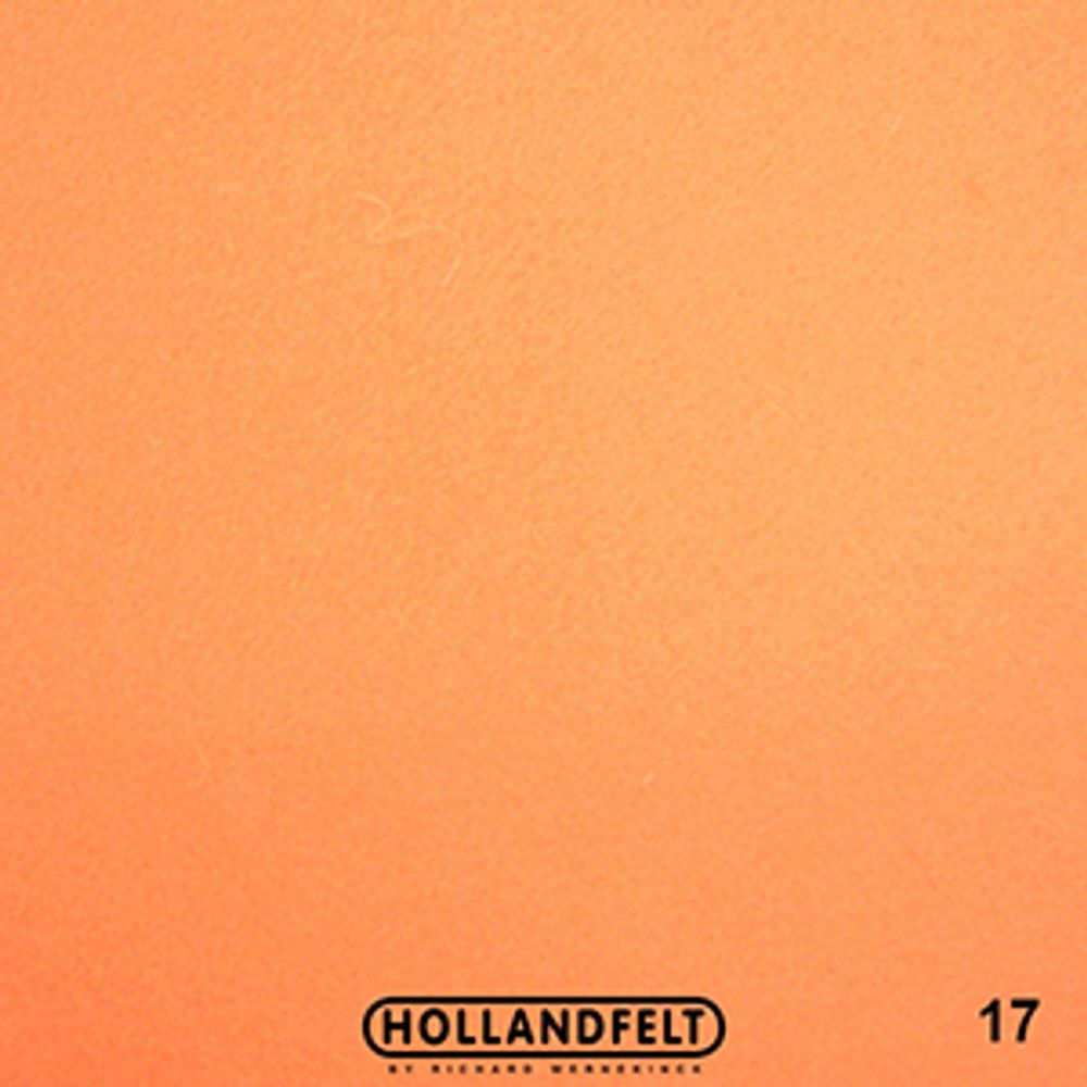 Войлок натуральный 20х30 см, толщ. 1 мм, Richard Wernekinck Wolgroothander, цв. 17, персиковый
