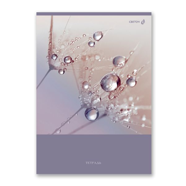 Тетрадь ученическая общая, A4 96 л. на скобе 65 г/м², белизна 100 %, 6 шт, клетка, 01351 Утренняя роса, Светоч Т156
