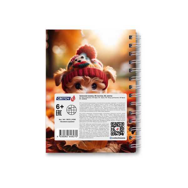 Записная книжка с твердым переплетом, глянцевая ламинация, на гребне A6 80 л. 4 шт клетка, Осенние модники 01588, ЗК221 Светоч