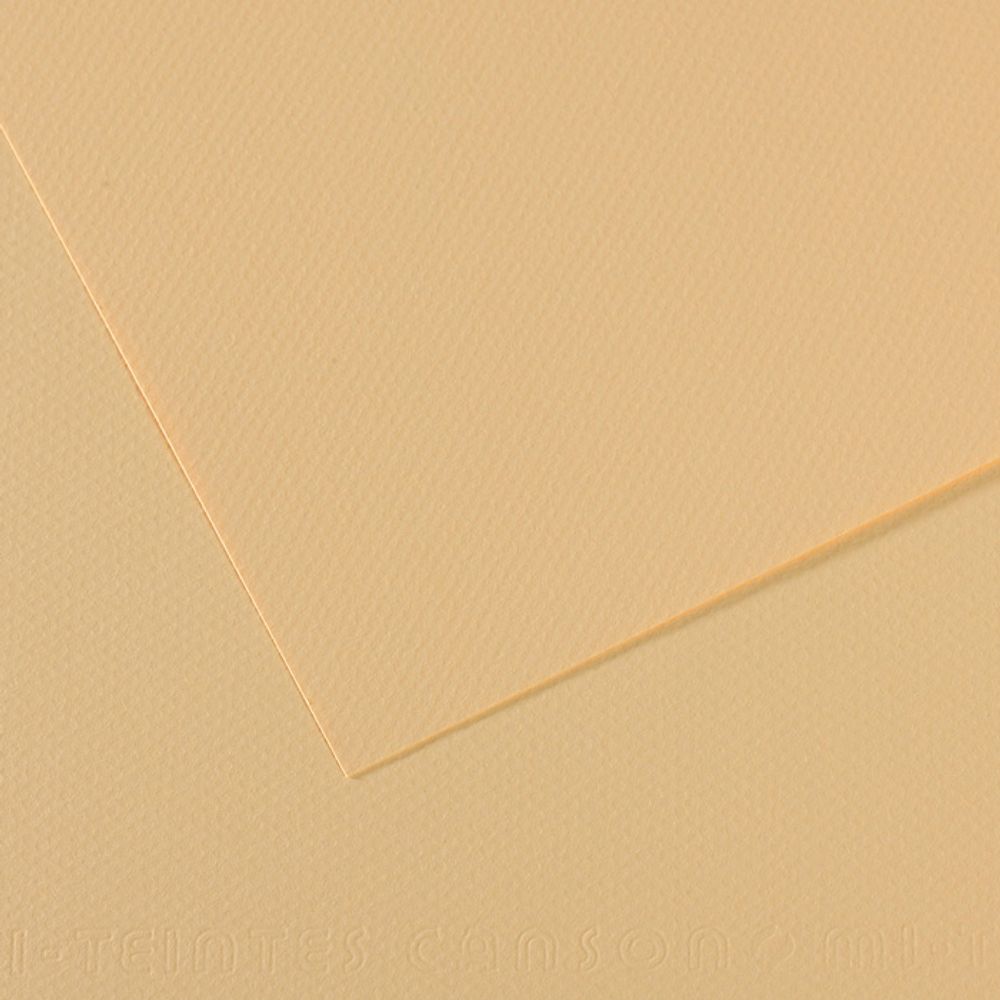Бумага для пастели Mi-Teintes 160 г/м², 75х110 см, 10 л, №407 Кремовый, Canson, C31032S148