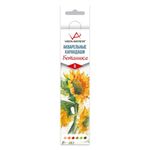Карандаш акварельный набор заточенный 8х6 цв, 01 Подсолнух, Vista-Artista Extra Fine VWPB-06 Ботаника