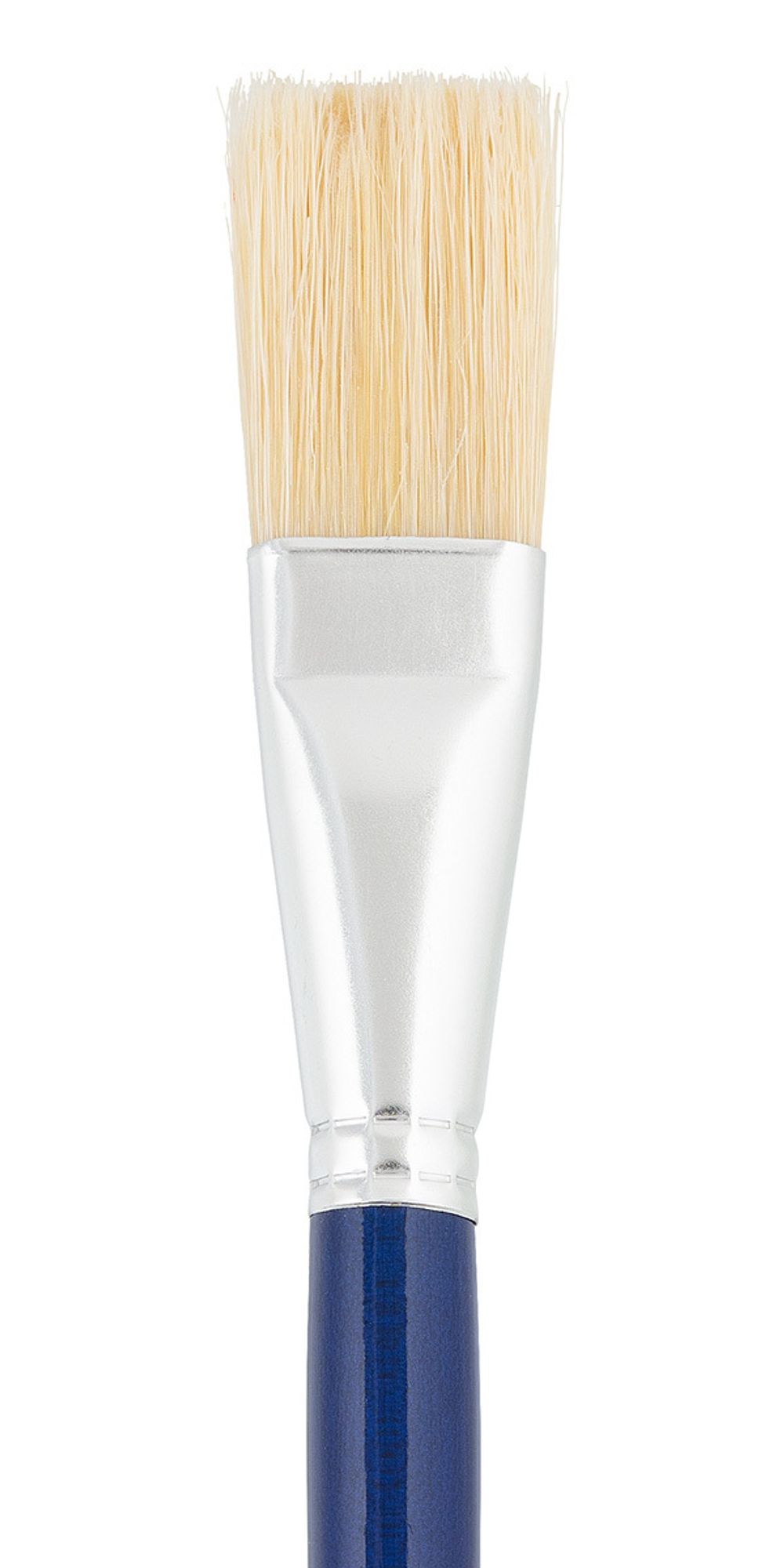 Кисть щетина удлиненная выставка №10 плоская, 5 шт, длинная ручка, 10, Vista-Artista 30119-10