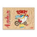 Альбом для рисования 100 г/м², A4 29х20.5 см, 8 л. на скобе, 20 шт, Райдер 000679, Светоч 8АЛСК4_1_3_9