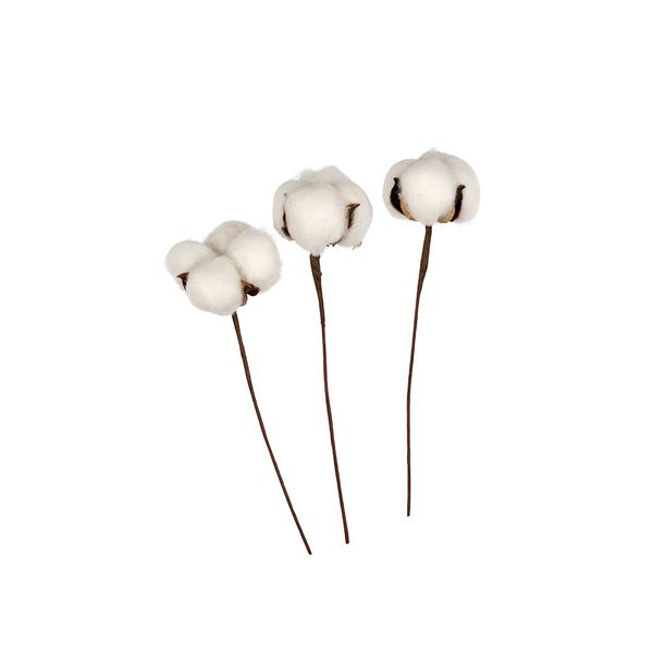 Декоративные элементы 15 шт (5х3 шт), 20 см, 01 веточка хлопка, Blumentag CTW-01