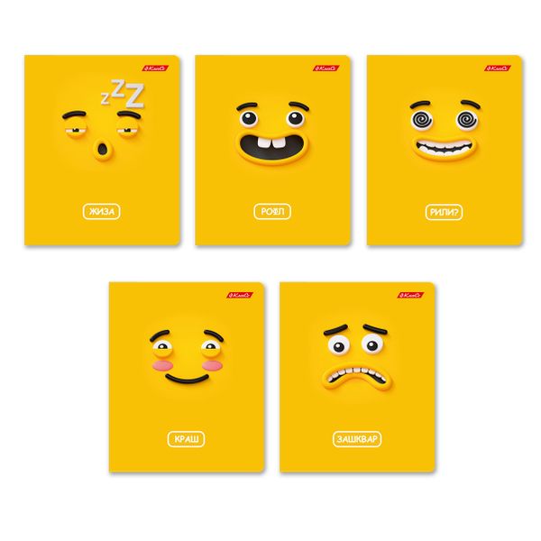 Тетрадь ученическая общая, A5+ 48 л. на скобе 65 г/м², белизна 100%, 10 шт, линия в термоусадочной пленке, 000756 Жиза, Светоч 48ТЕТл-001