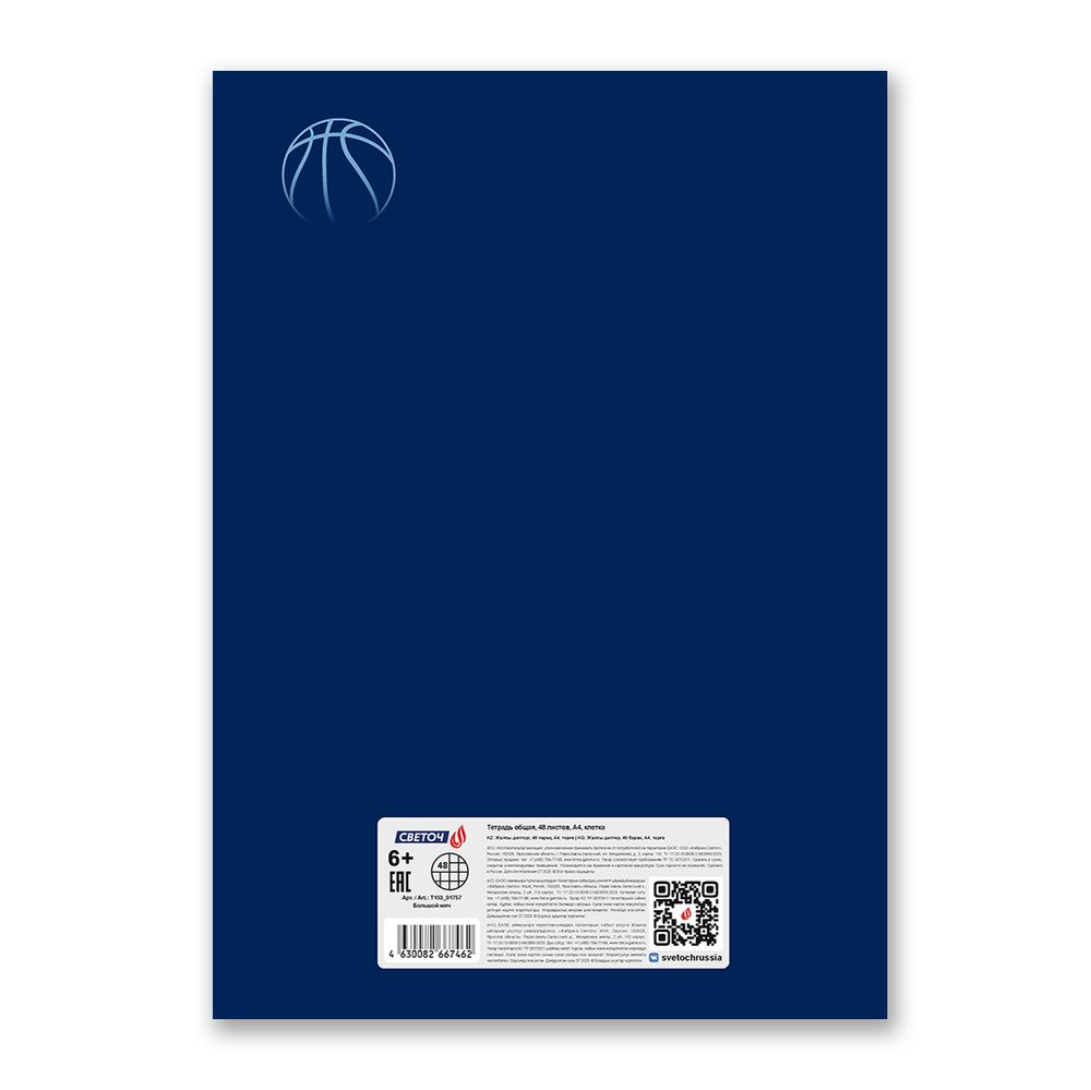 Тетрадь ученическая общая, выборочный лак, A4 48 л. на скобе 65 г/м², белизна 100% 6 шт клетка, 01757 Большой мяч, Светоч Т153