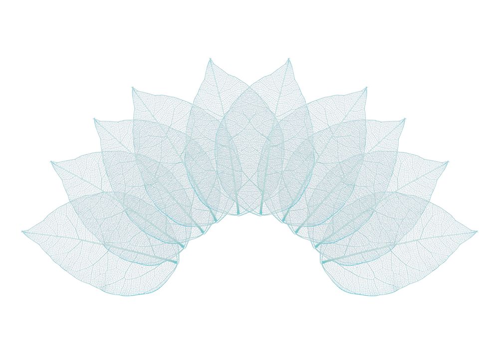 Листья скелетированные 2-6 см, 50 шт (5х10 шт), 05 голубой, Mr.Painter SFL-01