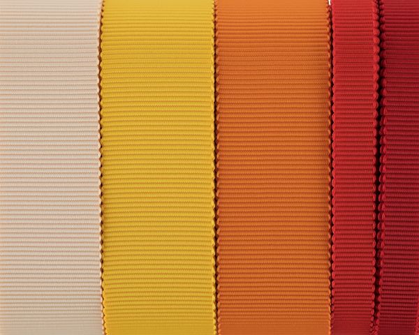 Набор репсовых лент 10 и 25 мм, 5 шт по 5 метров, ассорти №2, Gamma PTGRSC-5 Mix