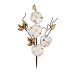 Декоративные элементы, 5 шт, 50 см, 01 веточка хлопка, Blumentag CTW-03