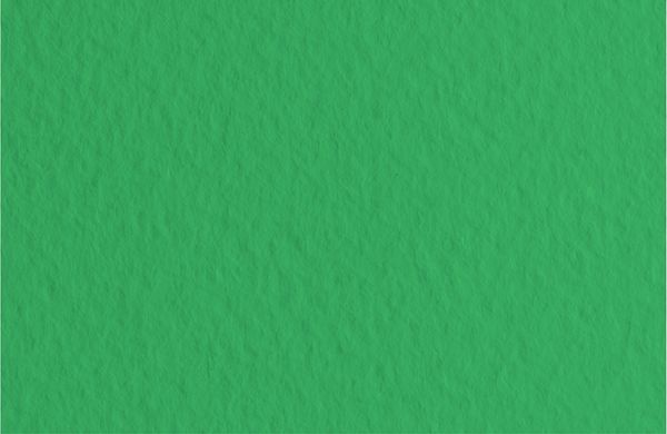 Бумага для пастели 160 г/м², 70х100 см, 10 листов, Prato/Травяной, Fabriano