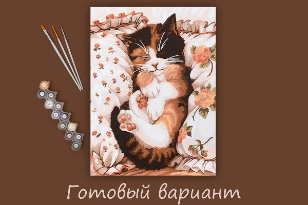 Картина по номерам Фрея PNB/PM-214, Сны котика, 40х30 см