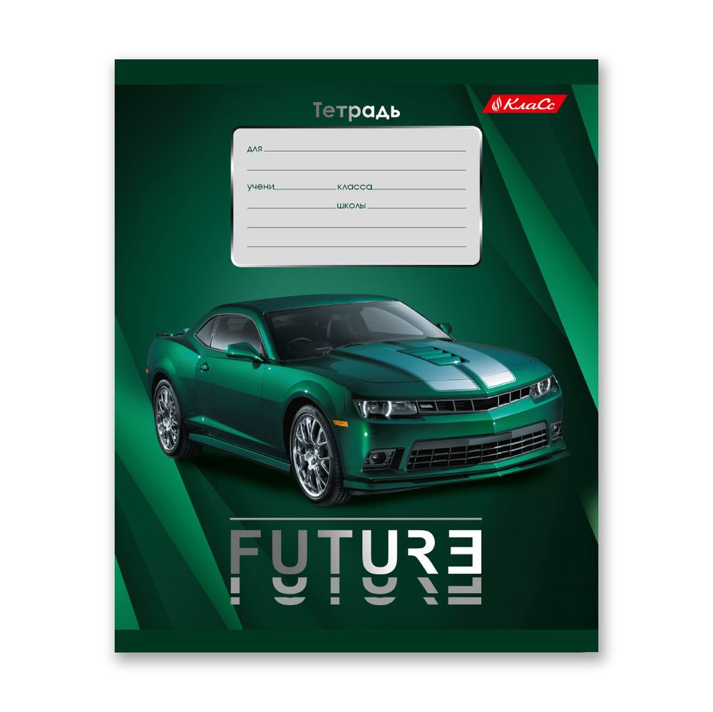 Тетрадь ученическая школьная, выборочный лак, A5+ 24 л. на скобе 65 г/м², белизна 100% 30 шт, клетка, 000373 Зелёная ракета, Светоч 24ТСКд5_4_3_1