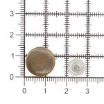 Пуговицы джинсовые ⌀14 мм, фиксированная ножка, сталь, гладкая, антик, 100 шт, New Star