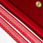 Кружево стрейч (эластичное) 25 мм / 5 метров, TBY.8028, цв.SD163 красный, Kruzhevo