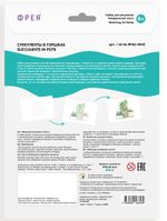 Скетч для раскрашивания акварельными карандашами Фрея RPSA-0042, Суккуленты в горшках 29.5х20.5 см