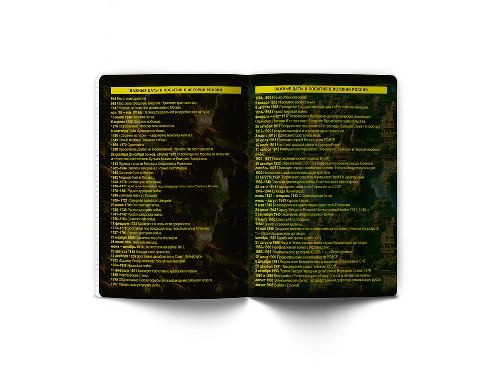 Тетрадь со справочным материалом Эволюция, глянцевая ламинация, A5+ 48 л. на скобе 65 г/м², белизна 100%, 10 шт, клетка, 00880 История, Светоч 48Т5