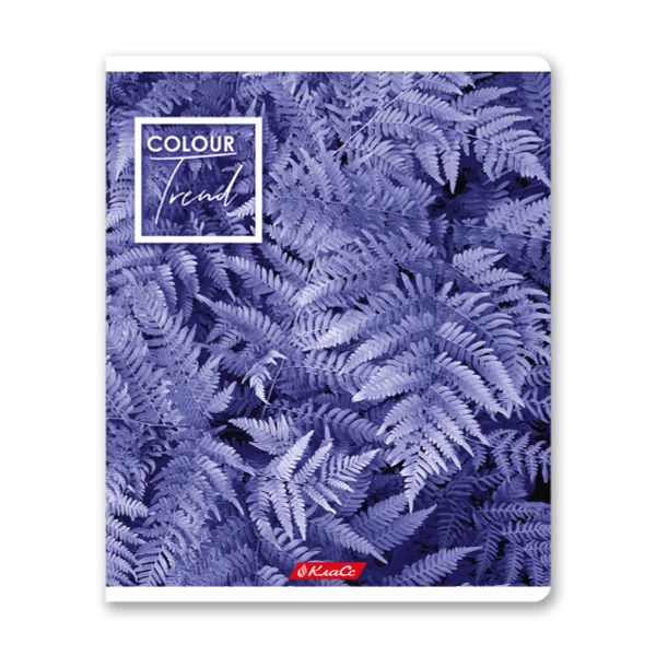 Тетрадь ученическая общая A5+ 48 л. на скобе, белизна 100%, 10 шт, клетка, 000308 Черничный рай, Светоч 48ТСК5_1_3_1