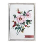 Рамка для картины (фото) пластик с оргстеклом 40х60 см, под серебро, Gamma ПРК-17