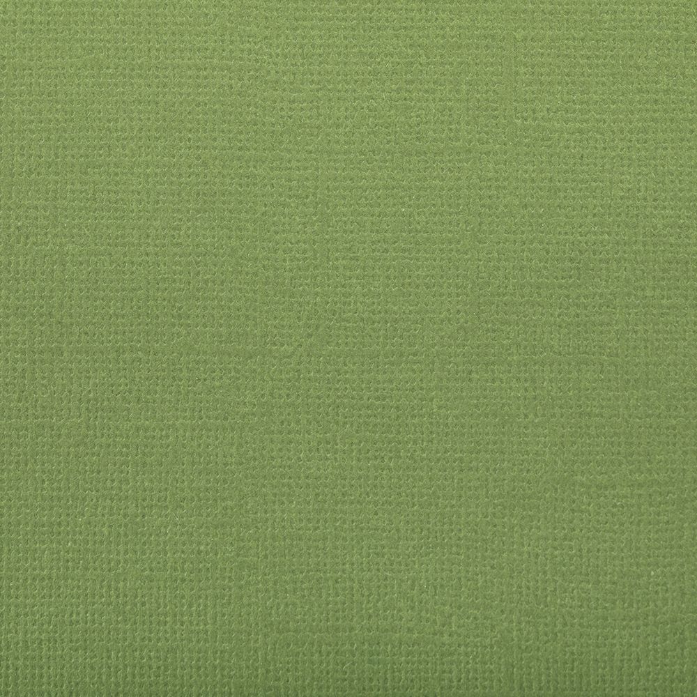 Бумага для скрапбукинга 216 г/м², 30.5х30.5 см, 10 шт, 57 Морская ламинария (темн. зеленый), Mr.Painter PST