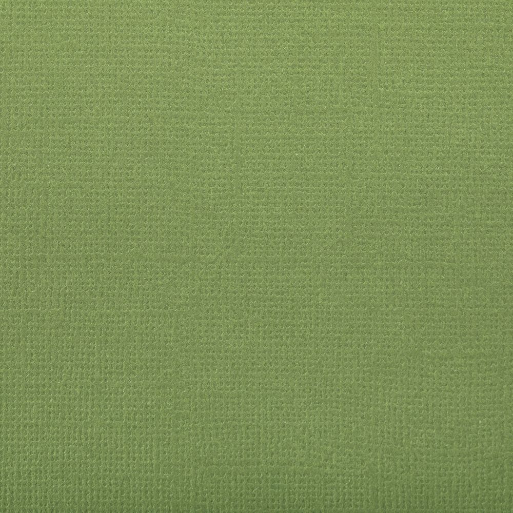 Бумага для скрапбукинга 216 г/м², 30.5х30.5 см, 10 шт, 57 Морская ламинария (темн. зеленый), Mr.Painter PST