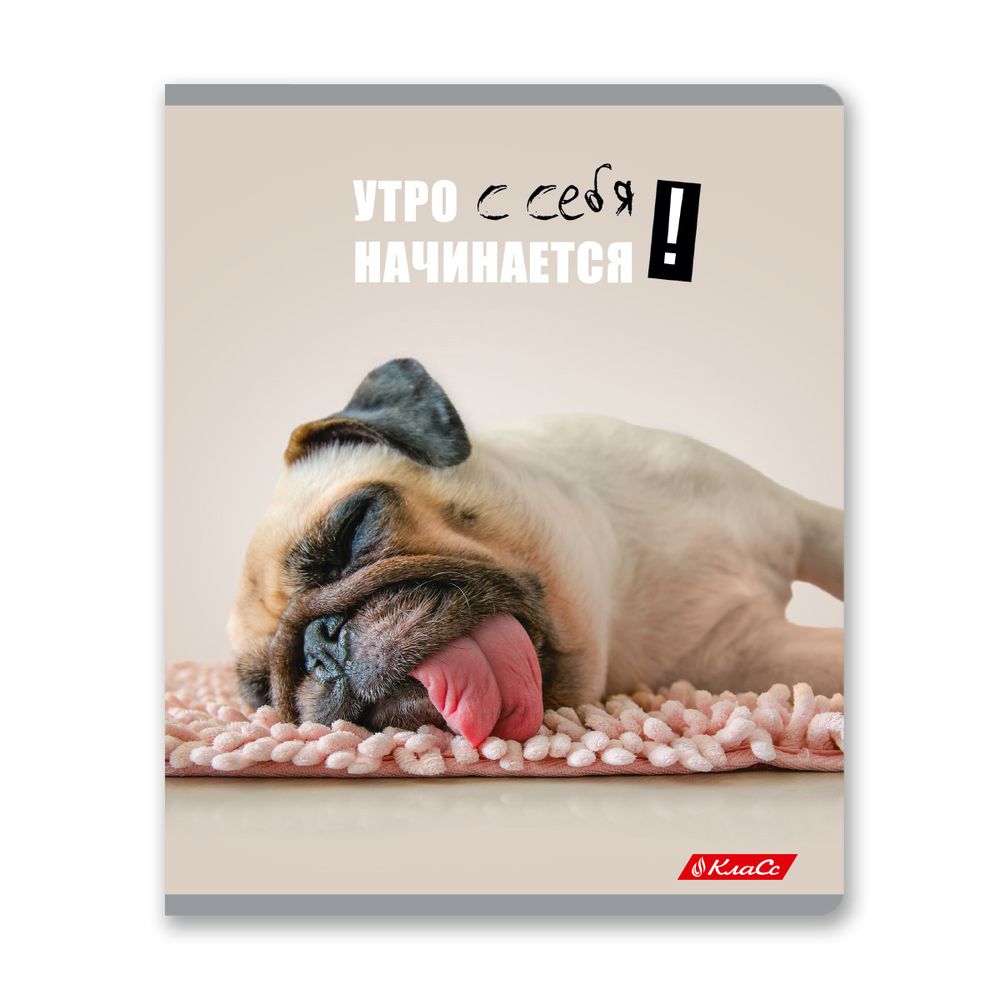 Тетрадь ученическая общая, A5+ 48 л. на скобе 65 г/м², белизна 100%, 10 шт, клетка в термоусадочной пленке, 000752 Смешные и шерстяные, Светоч 48ТЕТк-001