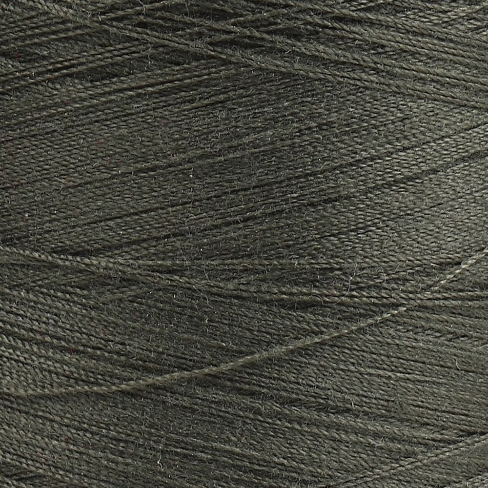 Нитки армированные ПНК им.Кирова 45ЛЛ, 2500 м / 1 кат., 5810 защитный