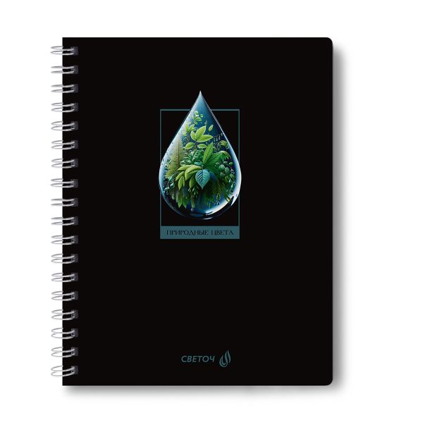 Тетрадь ученическая общая с двойной обложкой, A5 96 л. на гребне 65 г/м², белизна 100 %, 4 шт, клетка, 01209 Грани прекрасного, Светоч Т118