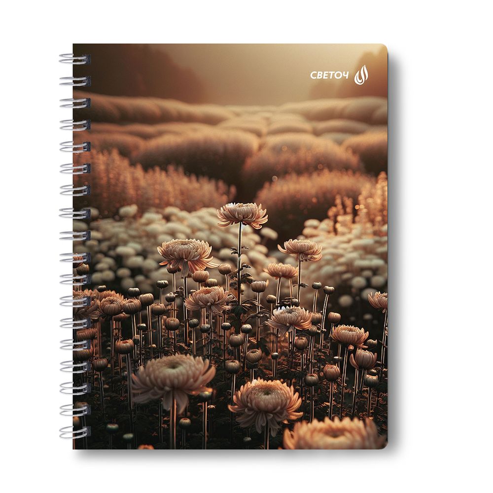 Тетрадь ученическая общая с двойной обложкой, A5 96 л. на гребне 65 г/м², белизна 100 %, 4 шт, клетка, 01210 МИКС - Супер - ассорти, Светоч Т118