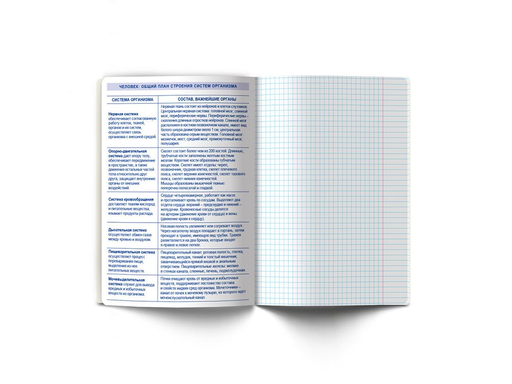 Тетрадь со справочным материалом Скучно не будет!, выборочный лак, A5+ 48 л. на скобе 65 г/м², белизна 100%, 10 шт, клетка, 000536 Биология, Светоч 48ТПСКс5_4_2_1