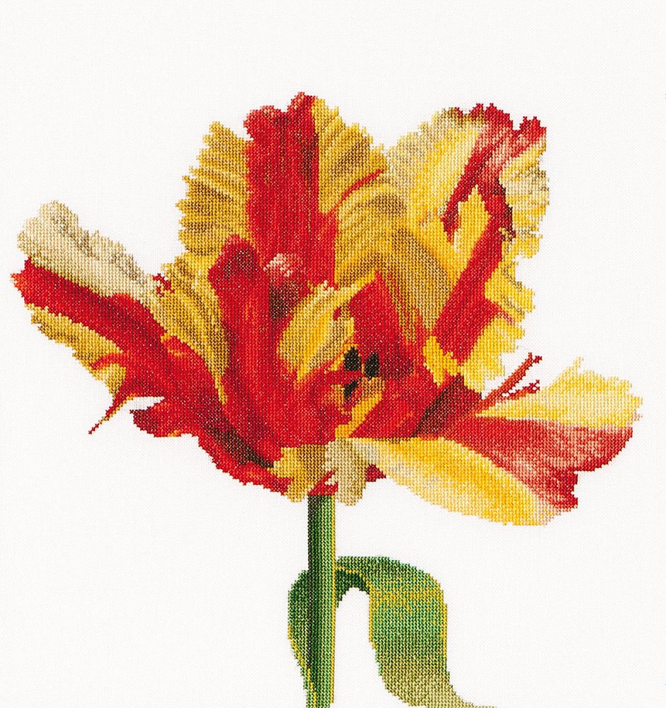 Thea Gouverneur, Красно-желтый тюльпан, канва лен 36 ct, 34х36 см