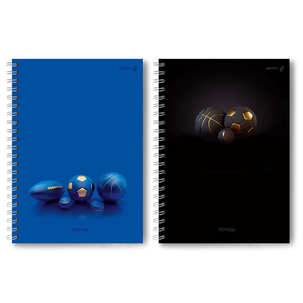 Тетрадь ученическая общая, выборочный УФ лак, A4 96 л. на гребне 65 г/м², белизна 100 %, 4 шт, клетка, 01259 Всем спорт, Светоч Т132
